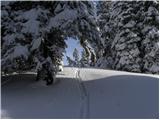 Tržič - Planina Zgornja Konjščica